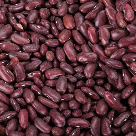 Dried Dark Red Kidney Beans 20 Lb