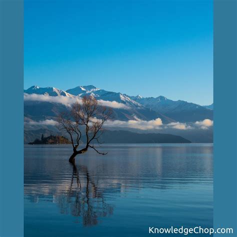 Lake Wanaka New Zealand Oc 4000x6000 🥷 Knowledge Ninja