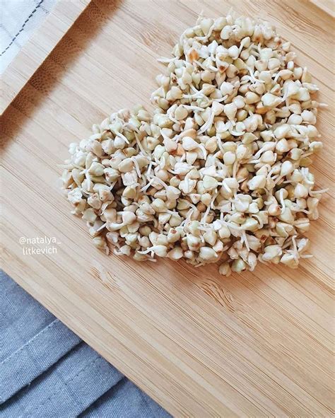 🌱 Пророщенная гречка 🌱 . . Чаще всего использую зелёную гречку в ...