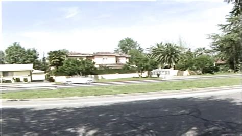 Gator Porn Videos XHamster