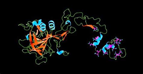 FDA одобрило генетическую терапию гемофилии B. Препарат вводится однократно