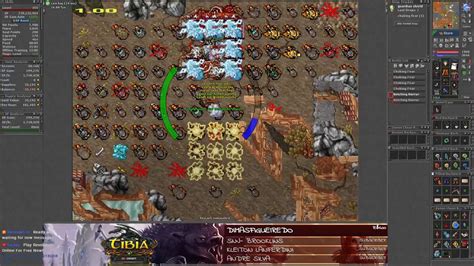 Tibia Elder Druid 350 Dp Rosha Youtube