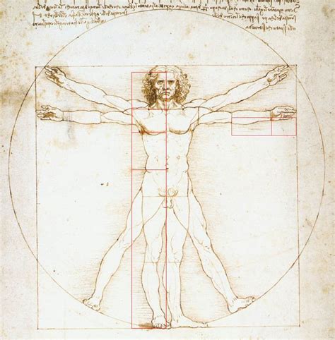 Da-Vinci-Vitruvian-Man-Golden-Ratio-Divine-Proportion - The Golden ...