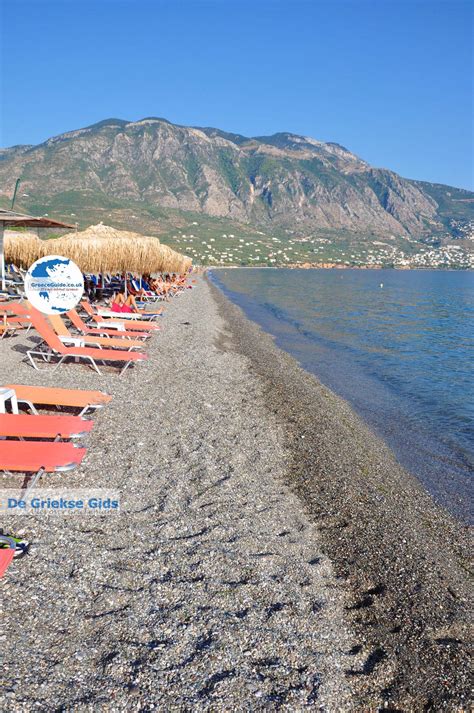 Kalamata Messenia | Holidays in Kalamata | Greece Guide