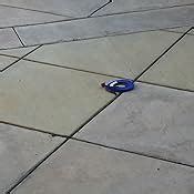 Amazon In The Breeze 6 Panel Rainbow Hot Air Balloon Wind Spinner Includes Curlie Tail