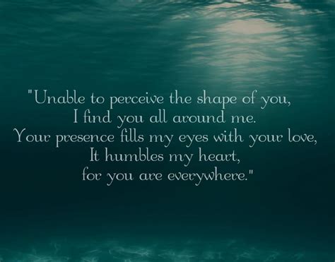 Lovely Poem From The Shape Of Water The Song A Princess Without A