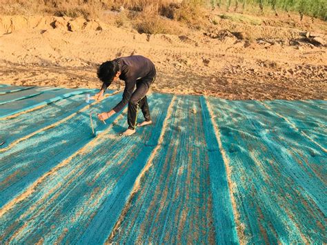 Non Woven Pp And Polyester Slope Stabilization Geotextile For Erosion