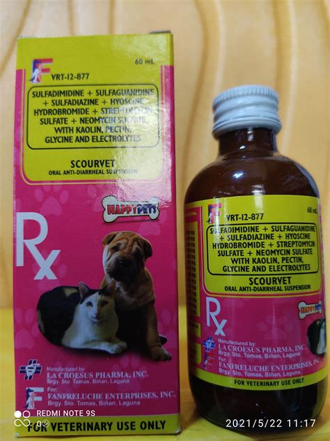 Medicine To Treat Diarrhea In Dogs at Virginia Morgan blog