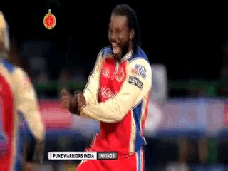gifs   day gayle  awesome  cricket nerd