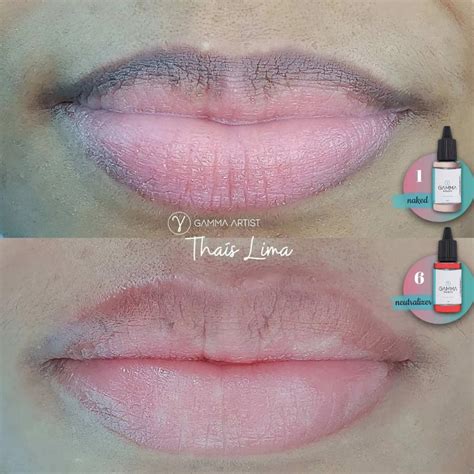 Pigmento Gamma Naked Ml Mercado Das Sobrancelhas