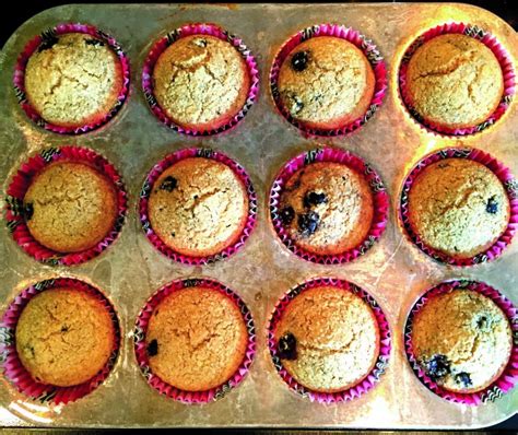Healthy Blueberry Oat Bran Muffins Mommy Evolution