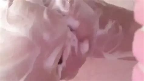 Zzz Porn Videos XHamster