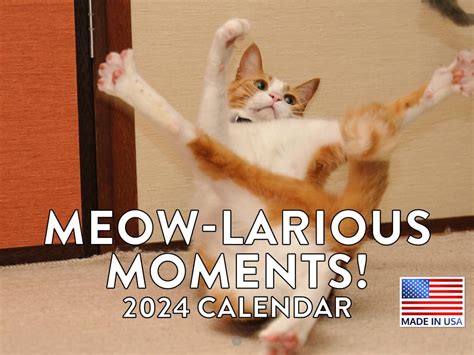 Funny Cat Calendar 2024 Meowlarious Wall Calander Amazon Ca Office