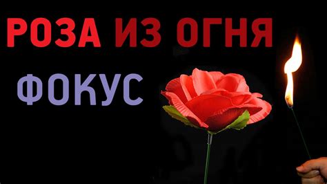 Фокус с розой из огня с Алиэкспресс Обзор Пикап с фокусами - YouTube