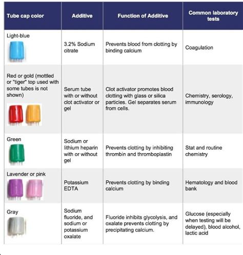 Tube Cap Colour Phlebotomy Test Tube Medical Laboratory Science