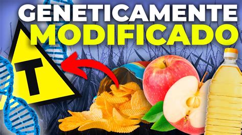 Alimento Transgênico Vantagem E Desvantagem - Vantagens E Desvantagens Dos Alimentos Transgênicos - MAGEDU