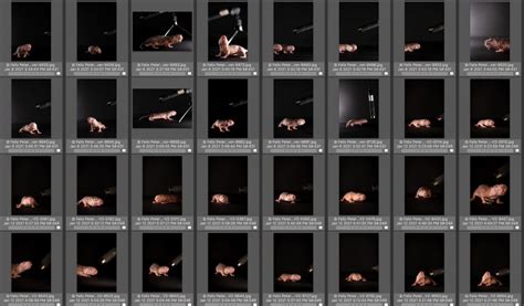 Capturing Naked Mole Rat Chirps Science Aaas