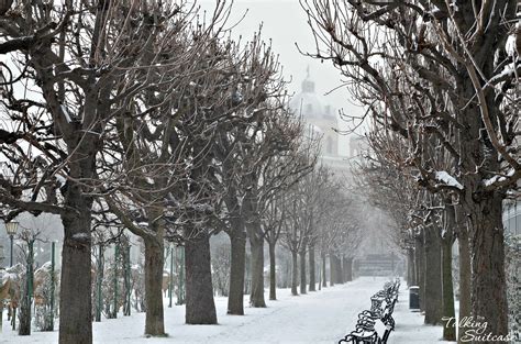 Winter Holiday With Kids in Vienna - 6 Must See Vienna Attractions