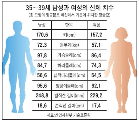 사이즈 코리아 내 키 몸무게 허리둘레 또래 중 몇 등일까 중앙일보