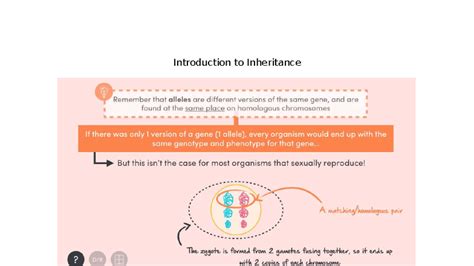 Introduction To Inheritance And Autosomal And Sex Linked Inheritence Introduction To