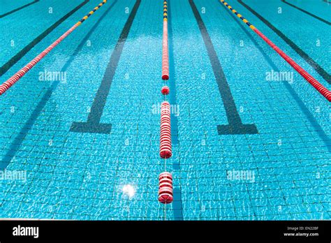 Blue line of lane in clear swimming pool Stock Photo - Alamy