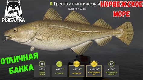 ЛУЧШАЯ ЛОКАЦИЯ ДЛЯ ФАРМА - НОРВЕЖСКОЕ МОРЕ, но ЕСТЬ НЮАНСЫ. РУССКАЯ ...