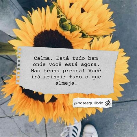 Pin De Flavia Elis Em Paz Cita Es Motivacionais Frases