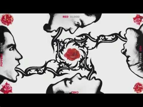 The Red Hot Chili Peppers Blood Sugar Sex Magic Full Album YouTube