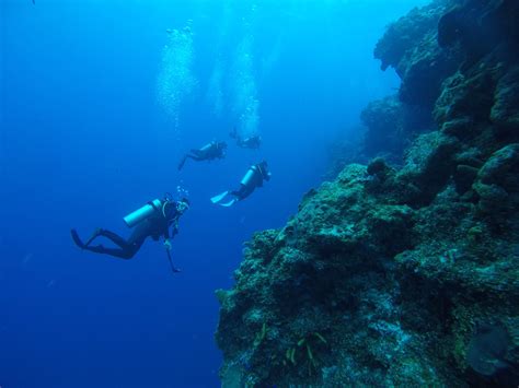 Cozumel Reef Diving Express - ScubasCool Mexico