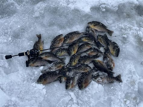 Discover more like Fishing: Looking like the ice might be going away