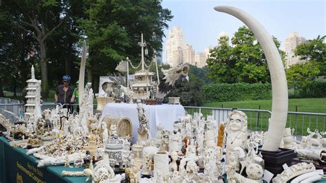 $4.5 Million of Ivory Art Crushed in Central Park Demonstration ...
