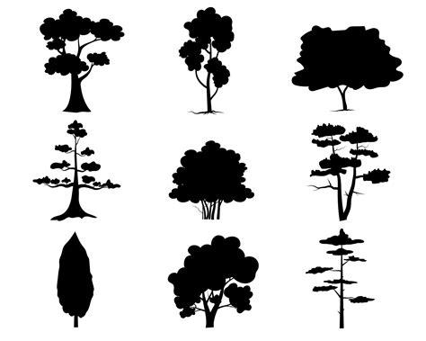 Black Branch Tree Or Naked Trees Silhouettes Set Hand Drawn Isolated Illustrations 18976636