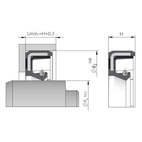 Sealmotion Radialwellendichtring A X X Mm Fkm Gottwald