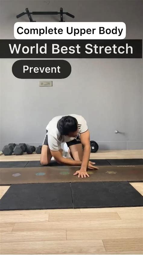 Complete Upper Body Best Stretch Workout: An immersive guide by Fitness ...