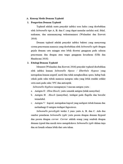 Lp Demam Typhoid 1 Laporan Pendahuluan Pdf