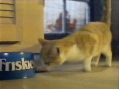 1987 Friskies Dry Cat Food Commercial Youtube