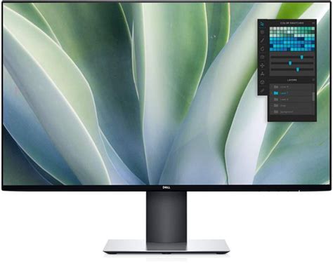 Best Vertical Monitors For Coding Gaming And More