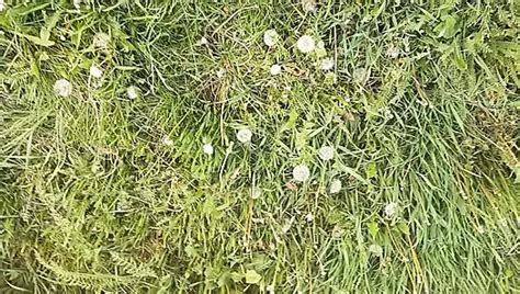 Free Lunch Porn Videos Xhamster