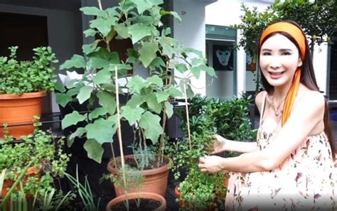 Hot mom xinh đẹp nhận trợ cấp 10 tỷ đồng tháng từ chồng vẫn tự tay trồng rau quả hữu cơ