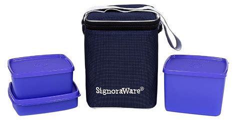 Buy Signoraware Director Special Medium Lunch Box With Bag Violet Online At Low Prices In India