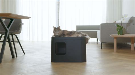 Gizmo Litterbox - Make Litter Beautiful