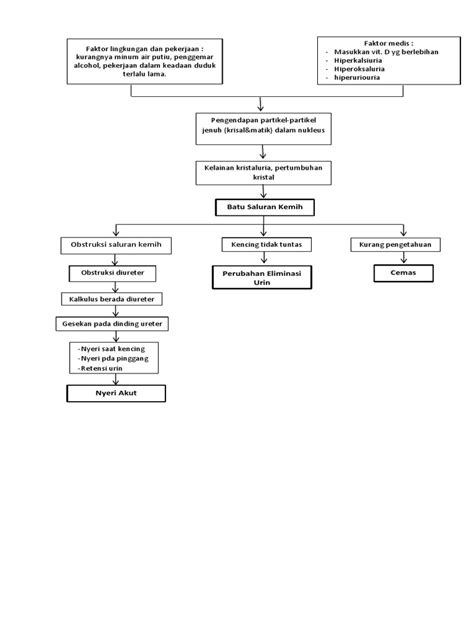 Pathway Batu Ginjal 1 Pdf