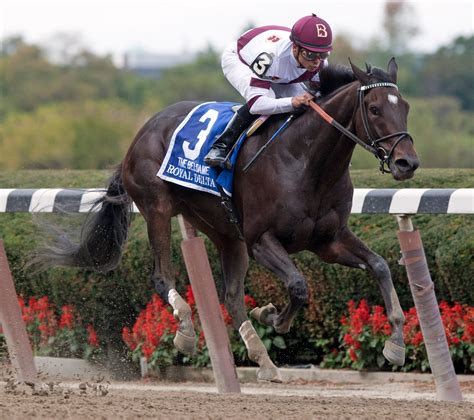 belmont racetrack entries 5