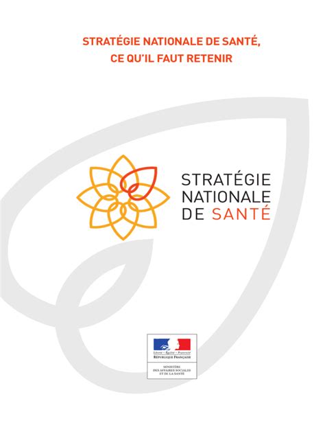 Strat Gie Nationale De Sant Ce Qu Il Faut Retenir