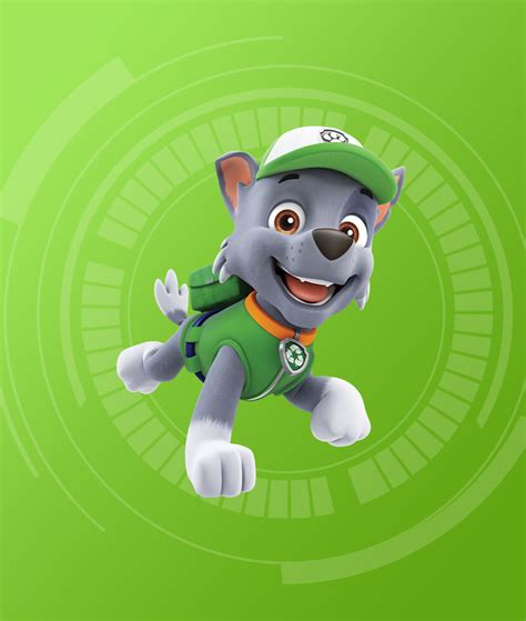 Paw Patrol Rocky