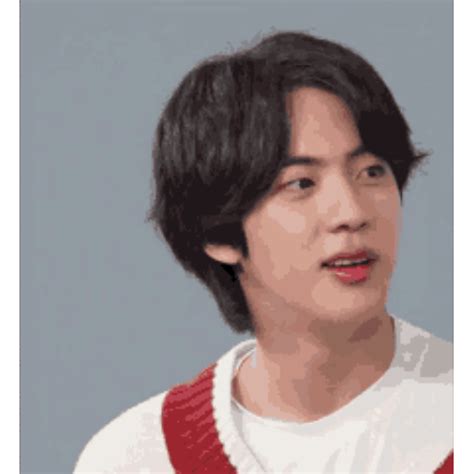 Sticker Maker Bts Jin Stickers