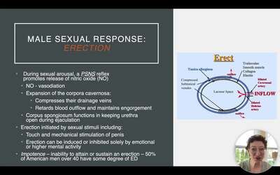 Ch 27 IV- Erection and Ejaculation - IWU MediaCentral