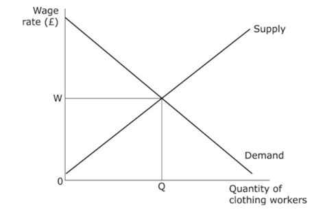 Labour Market Equilibrium Flashcards Quizlet