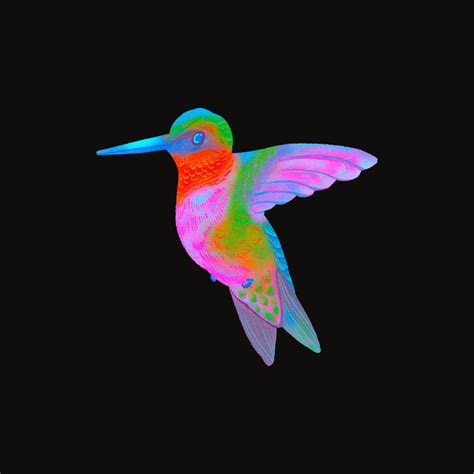 colibri . колибри . кухни . шкафы . гардеробные