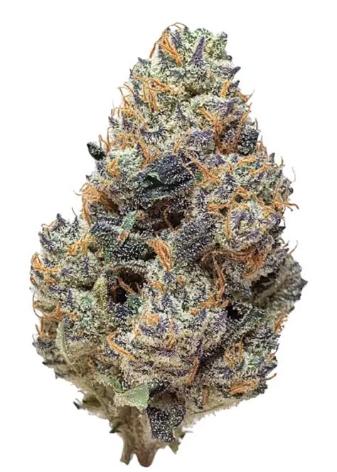 Grape Ape Cannabis Strain Info Growdiaries
